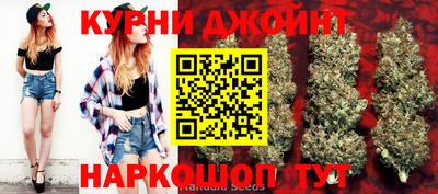 гидра Тверь