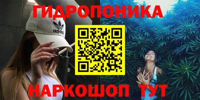 гидра Тверь
