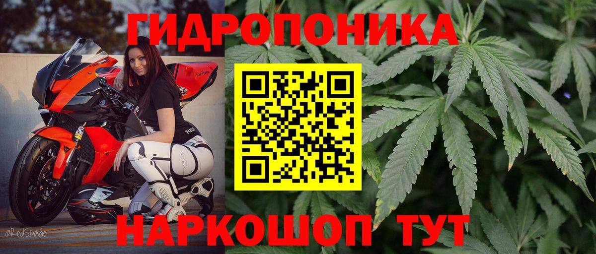 Конопля AK-47 Чайковский